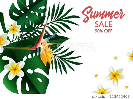 Summer Sale Tropical design OF template banner Summer Sale Tropical design OF template banner 113453408