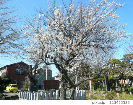 大聖寺　　　（埼玉県越谷市） 113453526