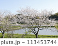 日本の風景 113453744