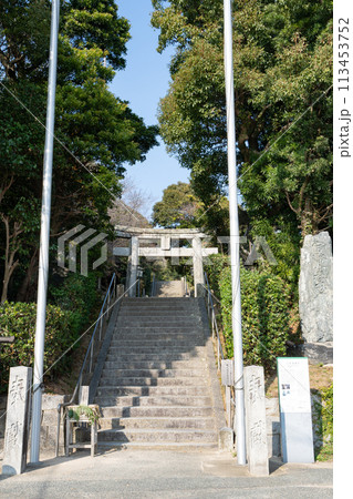 志賀海神社＜福岡県福岡市東区志賀島/2023年12月＞ 113453752