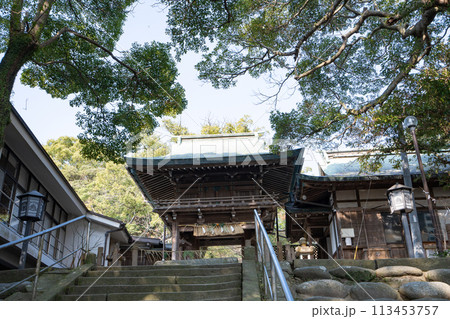 志賀海神社＜福岡県福岡市東区志賀島/2023年12月＞ 113453757