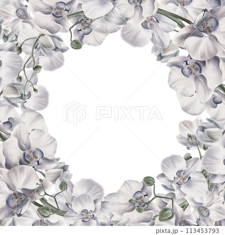 White orchid flowers in a round frame composition to decorate your themed printables. Tropical plants. Watercolor illustration. For invitations, weddings, birthdays, beach party. White orchid flowers in a round frame composition to decorate your themed printables. Tropical plants. Watercolor illustration. For invitations, weddings, birthdays, beach party. 113453793