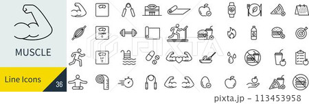 ベクターの筋力の線画アイコンセット 113453958