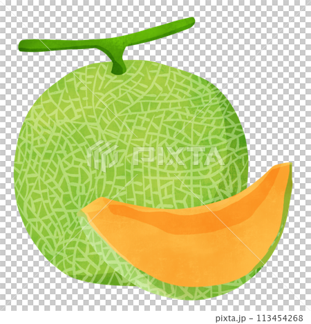 赤肉のメロン　手描きイラスト 113454268