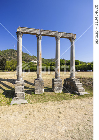 ruins of Roman temple in Riez, Alpes-de-Haute-Provence , France 113454620