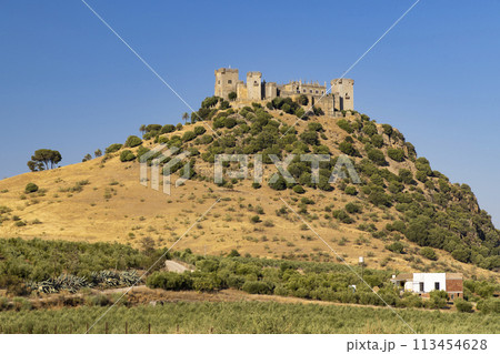 Almodovar del Rio Castle in Andalusia, Spain 113454628