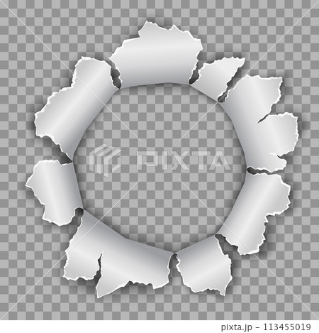 Round hole with ragged edges 113455019