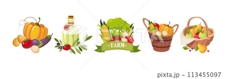 Farm Natural Product and Organic Produce Object Vector Set Farm Natural Product and Organic Produce Object Vector Set 113455097