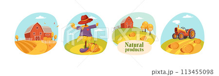 Farm Natural Product with Barn House, Hay Field, Tractor and Vegetables Vector Set 113455098