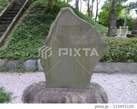 智観寺　　　（埼玉県飯能市） 113455120