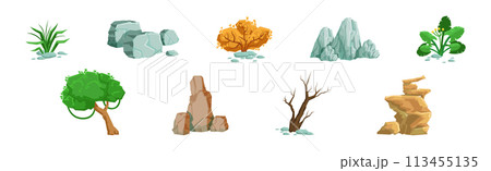 Forest Element and Outdoor Environment Object Vector Set Forest Element and Outdoor Environment Object Vector Set 113455135