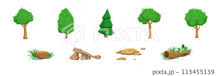 Forest Element and Outdoor Environment Object Vector Set 113455139