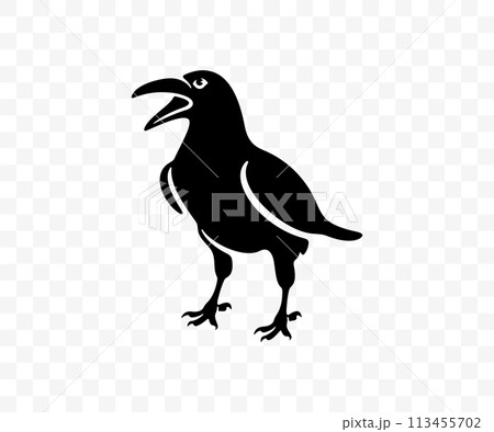 Black raven stands on the ground, graphic design. Crow, bird, animal, nature and wildlife, vector design and illustration 113455702