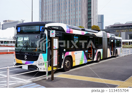 国際展示場駅に停車中の東京BRTの連節バス(いすゞエルガデュオ) 国際展示場駅に停車中の東京BRTの連節バス(いすゞエルガデュオ) 113455704