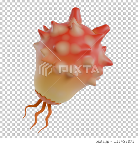Sea squirt 3D illustration 113455873