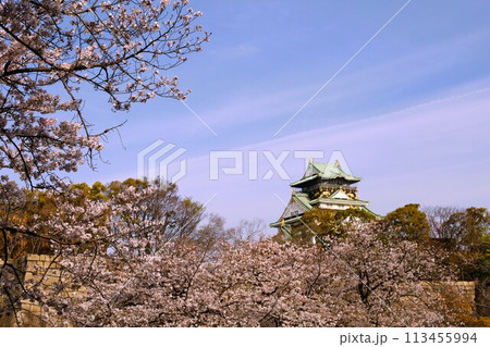 春の青空に映える満開の桜 113455994