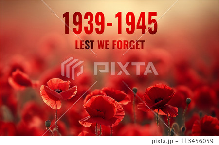 Vibrant field of red poppies with quote for Remembrance Day. Lest we forget. Vibrant field of red poppies with quote for Remembrance Day. Lest we forget. 113456059