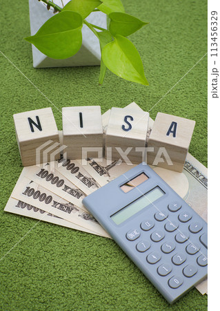 緑の絨毯に置かれたNISAの文字ブロック 緑の絨毯に置かれたNISAの文字ブロック 113456329