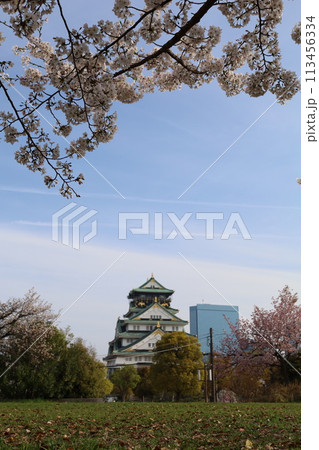 春の青空に映える満開の桜 113456334