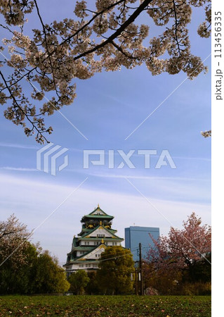 春の青空に映える満開の桜 113456335