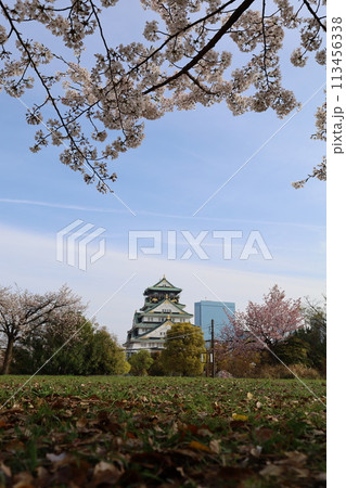 春の青空に映える満開の桜 113456338