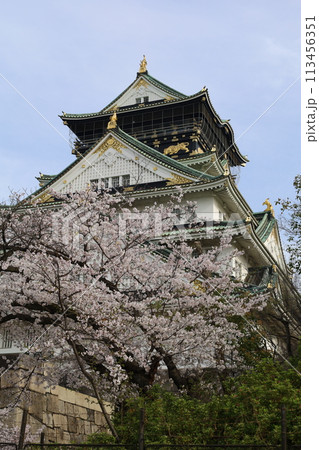 春の青空に映える満開の桜 春の青空に映える満開の桜 113456351