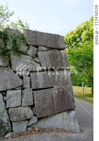 三重県度会郡玉城町_田丸城石垣4_2023年5月 三重県度会郡玉城町_田丸城石垣4_2023年5月 113456536