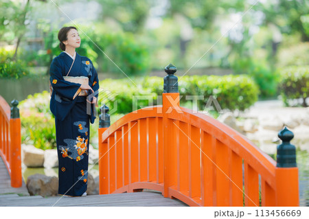 訪問着の着物を着た女性 訪問着の着物を着た女性 113456669