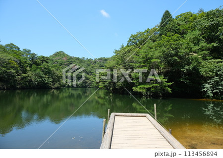 兵庫県神戸市灘区_穂高湖12_2023年7月 113456894