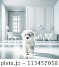 白い犬がいる白い部屋 113457058