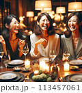 飲み会で楽しく乾杯をする女性 113457061