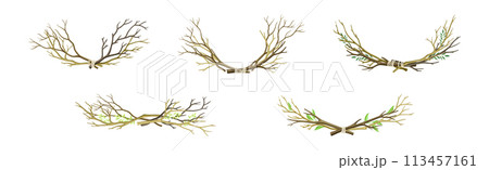 Bare Tree Branch Entangled in Semi Circle Vector Set 113457161