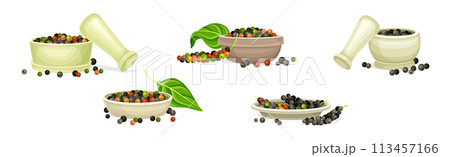 Black Pepper Plant with Green Leaf and Peppercorn Vector Set 113457166