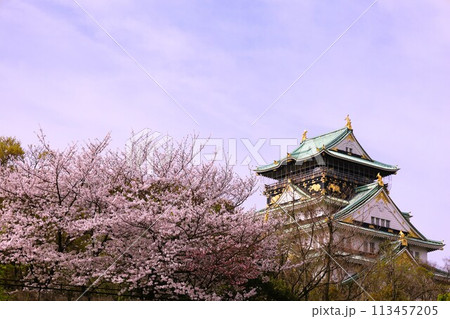 春の青空に映える満開の桜 春の青空に映える満開の桜 113457205