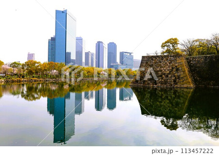 春の青空に映える満開の桜 113457222
