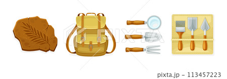 Archaeological Instrument and Inventory for Exploration Vector Set 113457223