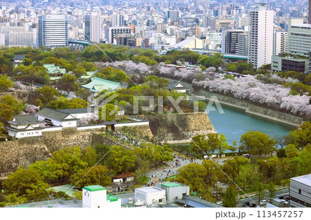 空から眺める大阪城鳥瞰図　桜の季節　生駒山系　春の青空に映える満開の桜 113457257