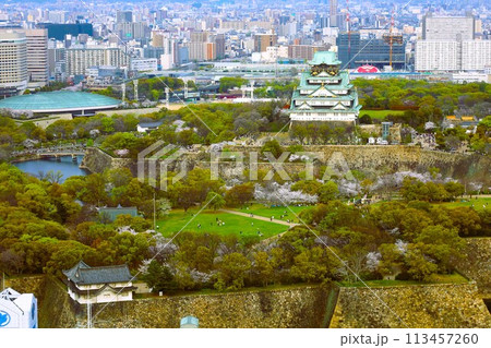 空から眺める大阪城鳥瞰図　桜の季節　生駒山系　春の青空に映える満開の桜 113457260