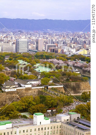 空から眺める大阪城鳥瞰図　桜の季節　生駒山系　春の青空に映える満開の桜 113457270