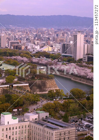 空から眺める大阪城鳥瞰図　桜の季節　生駒山系　春の青空に映える満開の桜 113457272