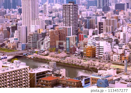 空から眺める大阪城鳥瞰図 桜の季節 生駒山系 春の青空に映える満開の桜 空から眺める大阪城鳥瞰図 桜の季節 生駒山系 春の青空に映える満開の桜 113457277