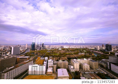 空から眺める大阪城鳥瞰図　桜の季節　生駒山系　春の青空に映える満開の桜 113457283