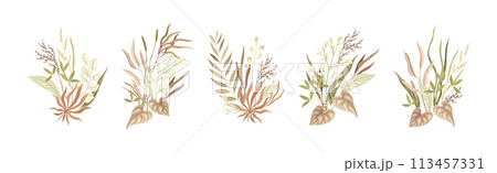 Tender Floral Bouquet Composition with Twigs Vector Set Tender Floral Bouquet Composition with Twigs Vector Set 113457331