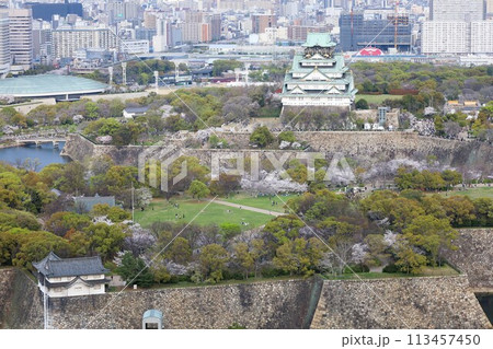 空から眺める大阪城鳥瞰図 桜の季節 生駒山系 春の青空に映える満開の桜 空から眺める大阪城鳥瞰図 桜の季節 生駒山系 春の青空に映える満開の桜 113457450