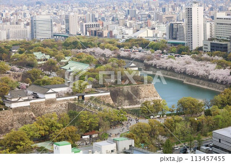 空から眺める大阪城鳥瞰図　桜の季節　生駒山系　春の青空に映える満開の桜 113457455