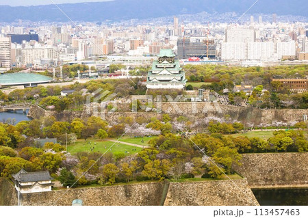 空から眺める大阪城鳥瞰図 桜の季節 生駒山系 春の青空に映える満開の桜 空から眺める大阪城鳥瞰図 桜の季節 生駒山系 春の青空に映える満開の桜 113457463