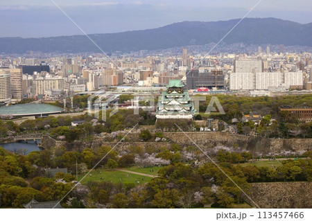 空から眺める大阪城鳥瞰図 桜の季節 生駒山系 春の青空に映える満開の桜 空から眺める大阪城鳥瞰図 桜の季節 生駒山系 春の青空に映える満開の桜 113457466