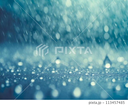 梅雨・雨降りの季節のイメージ画像 113457485