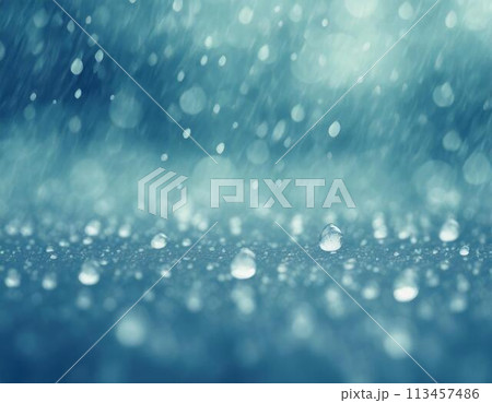 梅雨・雨降りの季節のイメージ画像 113457486