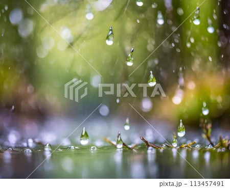 梅雨・雨降りの季節のイメージ画像 113457491